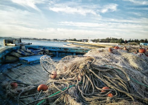 Rustic fishing boat with nets in Hammamet, Tunisia on a serene day.
