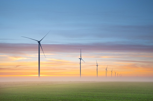 wind energy, wind turbines, windmills, renewable energy, fog, sunrise, meadows, netherlands, nature, landscape