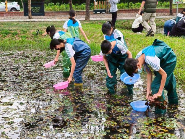 南市首辦「114年度食農教育優良教案徵選」 65組教案展現校園創意