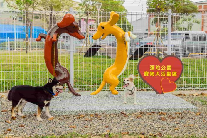 高雄「狗狗小花」盛開中！11處寵物犬活動區啟用再增3處