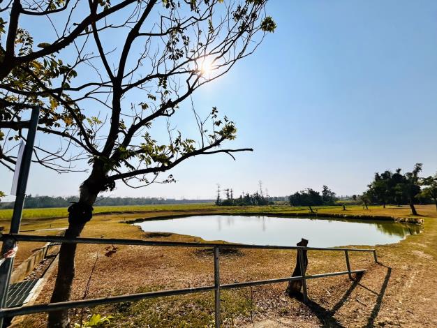 抓緊春節假期 南市府邀請民眾來老牛的家園區踏青趣