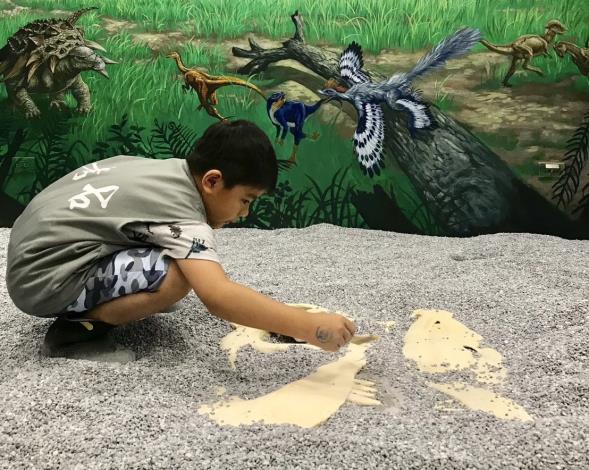 親子出遊首選 南市府邀您新春馬力全開玩樹谷園區