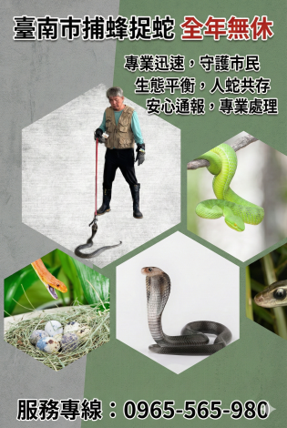 臺南市捕蜂捉蛇全年無休 守護市民生命安全