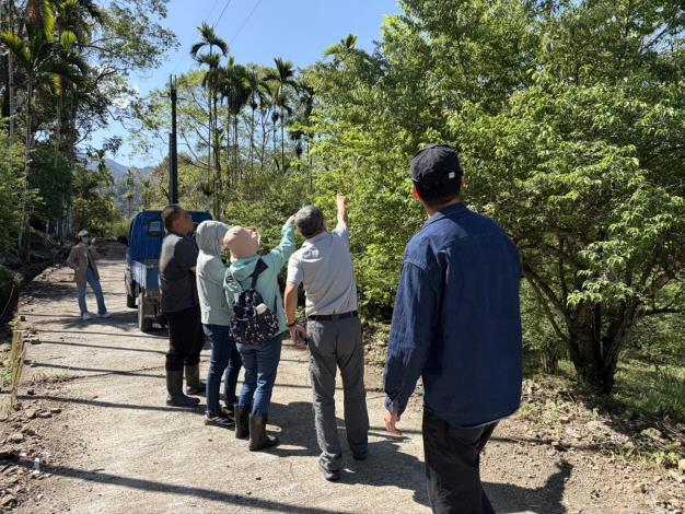 1至２月乾旱(遲發性)致災 青梅農損救助3月19日起受理