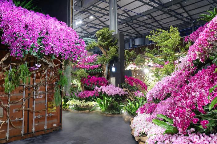 2026 臺灣國際蘭展最後倒數!賞蘭搭配深度療癒之旅 南市府邀大眾……