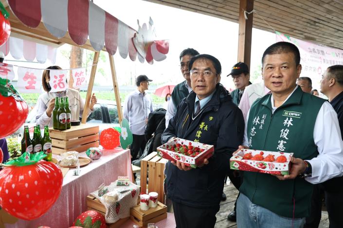 善化草莓季「莓好生活節」3/7甜蜜登場　黃偉哲邀全民體驗春日限……