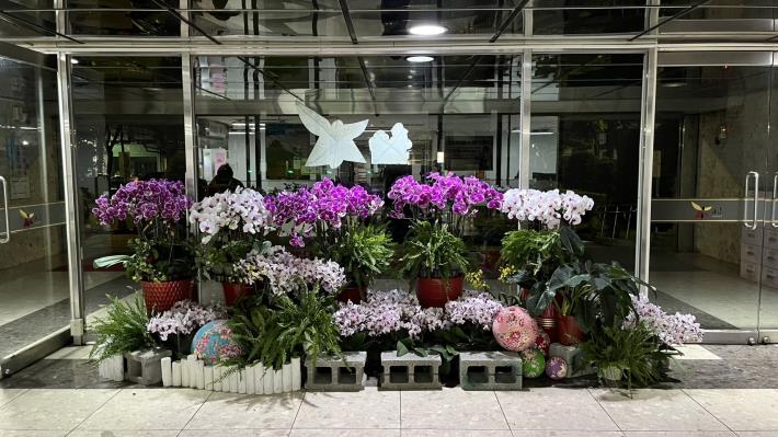 打造蘭藝辦公空間延續卸展蘭花生命力    市政空間展現新風貌