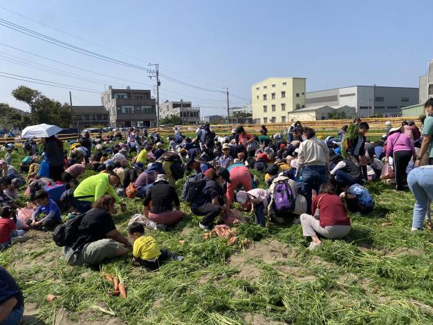 橘紅木棉花海迎春　將軍紅蘿蔔同樂會熱鬧登場