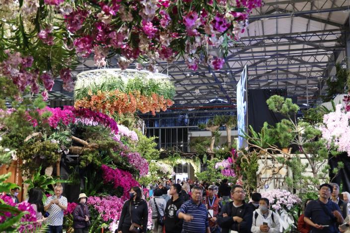 AI花海邂逅春日浪漫　2026臺灣國際蘭展串聯燈會打造婦女節賞花新……