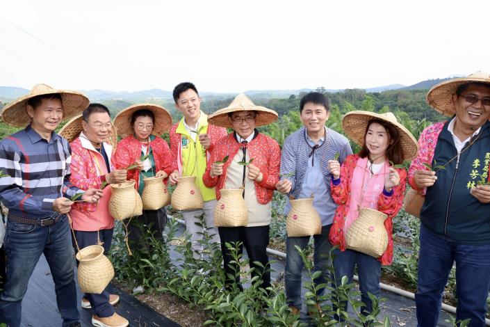 黃偉哲宣布台南茶誕生  東山採收開啟茶產業新契機