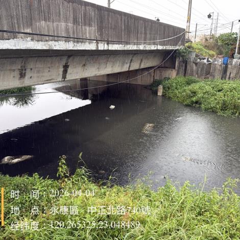 永康區排水渠道大量魚隻死亡 水利局連假期間迅速打撈維護環境