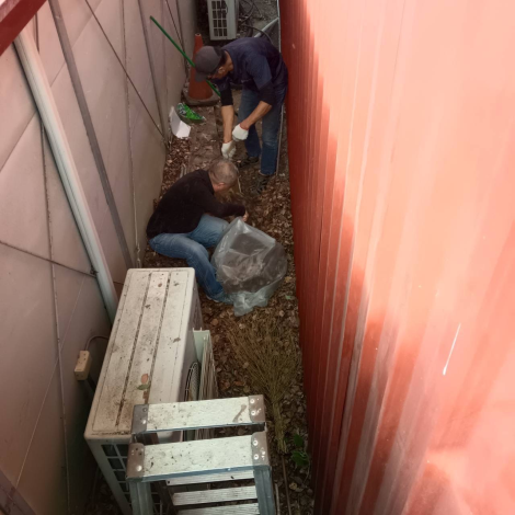 強化古蹟環境管理 臺南市文化局全面啟動防鼠清消機制