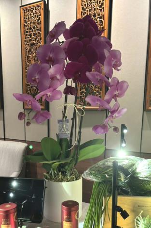 臺南優質農產前進新加坡  參與「臺灣蔬食國際美食節」拓展國際市……