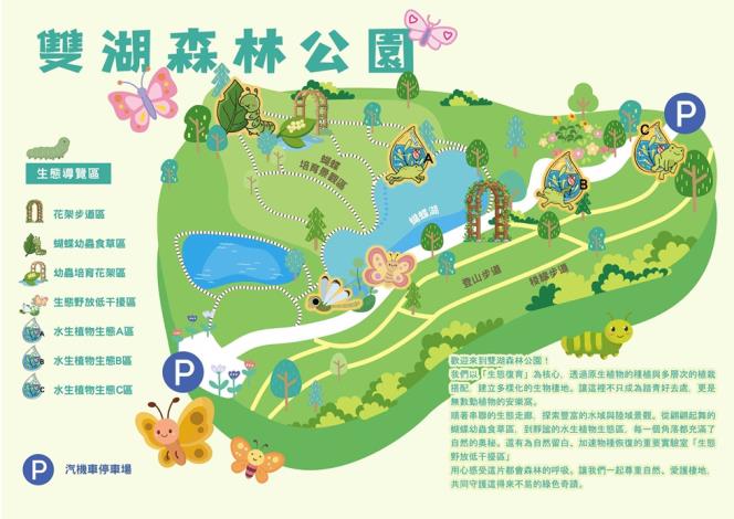 彩蝶滿天飛!高雄雙湖森林公園變身都市生態樂園 逾20種蝴蝶現蹤