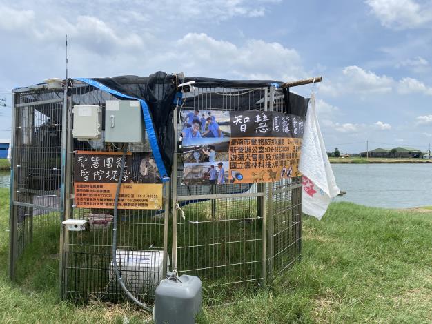 動保處運用多元管制方式加強捕捉問題犬 呼籲勿放養及隨意餵養
