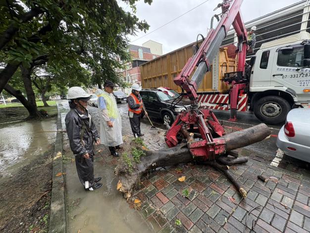 豪雨造成路樹倒塌及斷枝 公園處即時動員全力搶災　加速道路復原