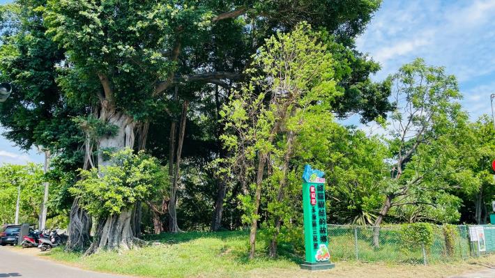 探索永康糖廠祕境!三崁店8月23日特開1梯暑期專場導覽 邀請民眾……