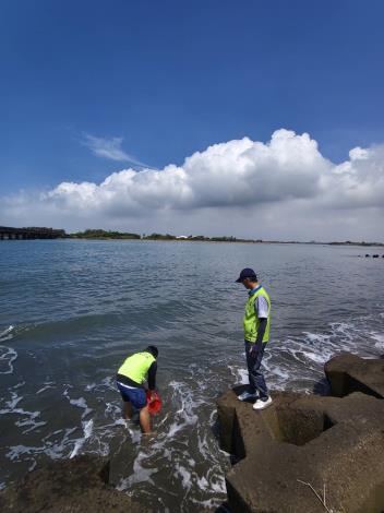 攜手中央增裕漁業資源 臺南市草蝦苗放流守護海洋永續