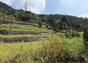 白河水庫保護區開發議題　南市府：違規依法裁處、持續追蹤改善守……
